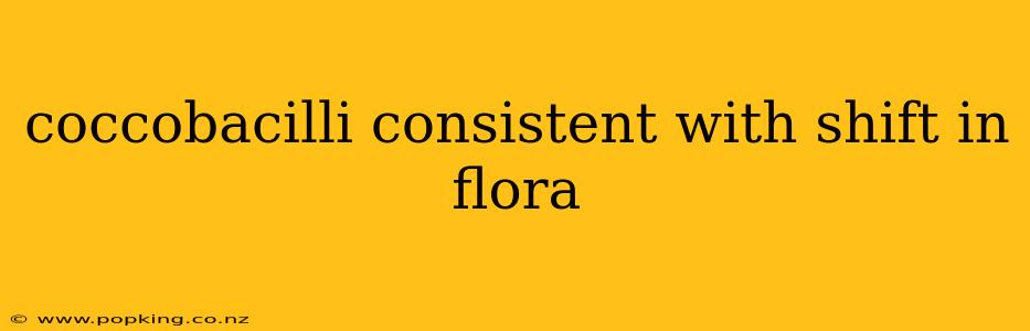 coccobacilli consistent with shift in flora