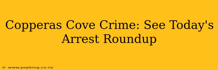 Copperas Cove Crime: See Today's Arrest Roundup