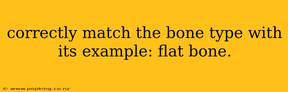 correctly match the bone type with its example: flat bone.