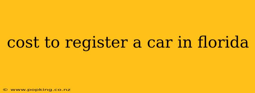 cost to register a car in florida