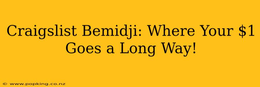 Craigslist Bemidji: Where Your $1 Goes a Long Way!