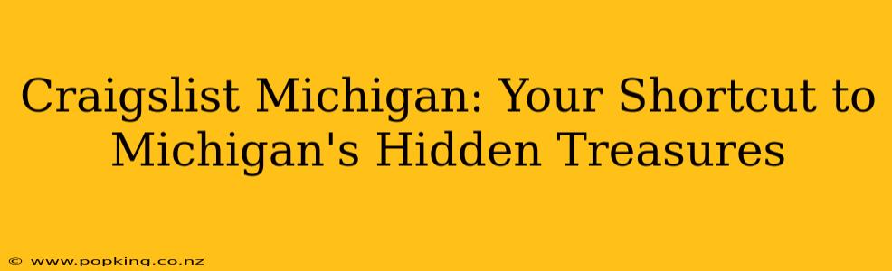 Craigslist Michigan: Your Shortcut to Michigan's Hidden Treasures