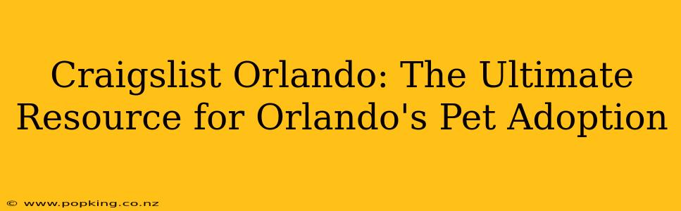 Craigslist Orlando: The Ultimate Resource for Orlando's Pet Adoption