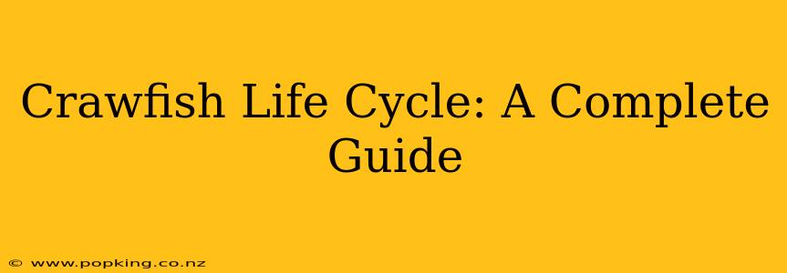 Crawfish Life Cycle: A Complete Guide