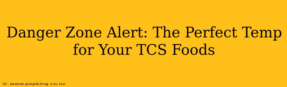 Danger Zone Alert: The Perfect Temp for Your TCS Foods