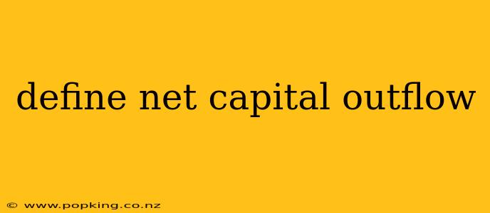 define net capital outflow