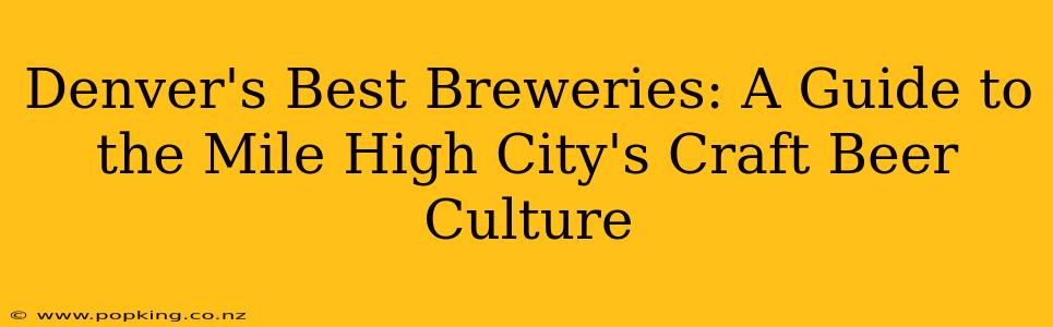 Denver's Best Breweries: A Guide to the Mile High City's Craft Beer Culture