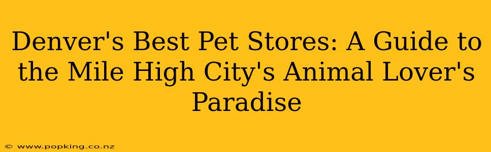 Denver's Best Pet Stores: A Guide to the Mile High City's Animal Lover's Paradise