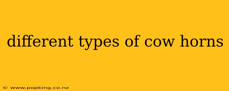 different types of cow horns