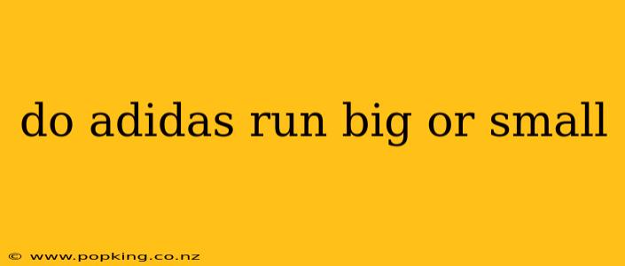 do adidas run big or small