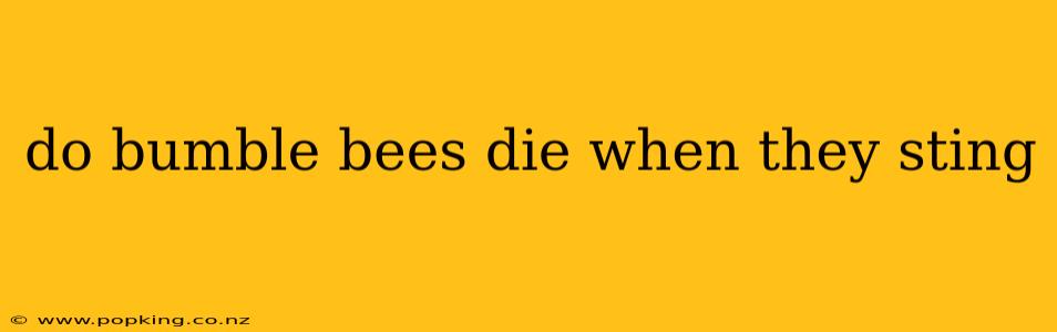 do bumble bees die when they sting