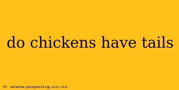 do chickens have tails