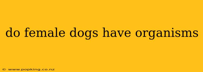 do female dogs have organisms