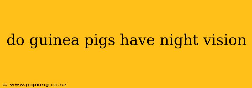 do guinea pigs have night vision