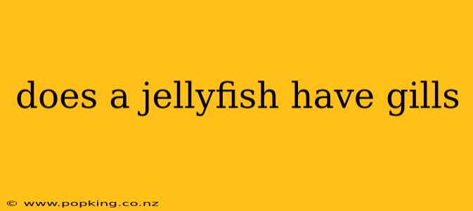 does a jellyfish have gills