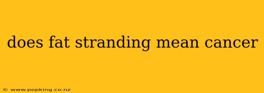 does fat stranding mean cancer