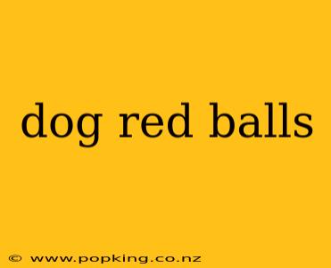 dog red balls