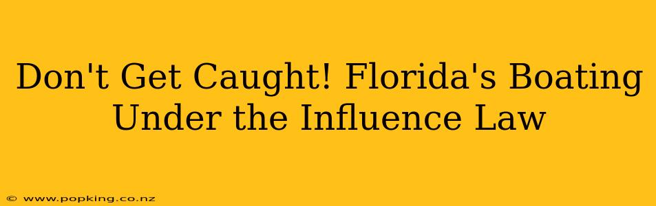 Don't Get Caught! Florida's Boating Under the Influence Law