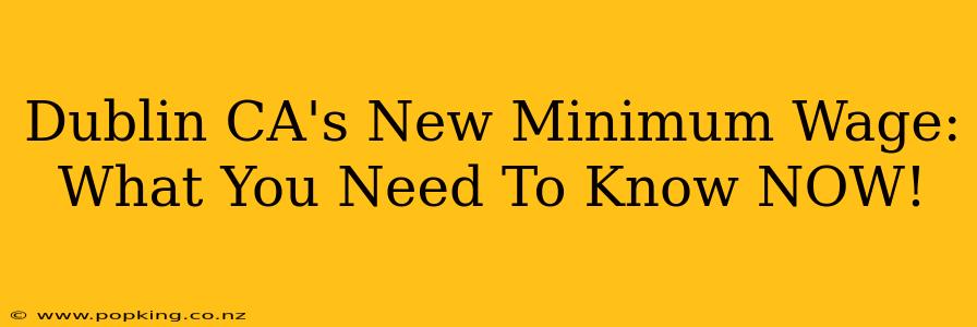 Dublin CA's New Minimum Wage: What You Need To Know NOW!