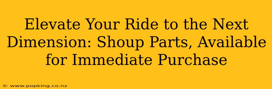 Elevate Your Ride to the Next Dimension: Shoup Parts, Available for Immediate Purchase