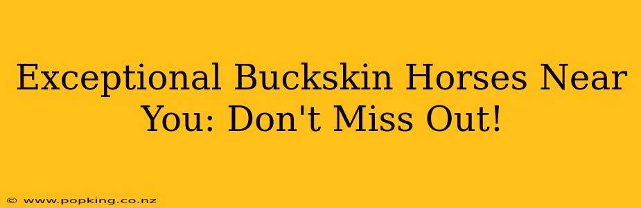Exceptional Buckskin Horses Near You: Don't Miss Out!