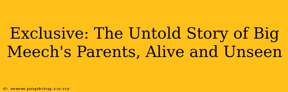 Exclusive: The Untold Story of Big Meech's Parents, Alive and Unseen