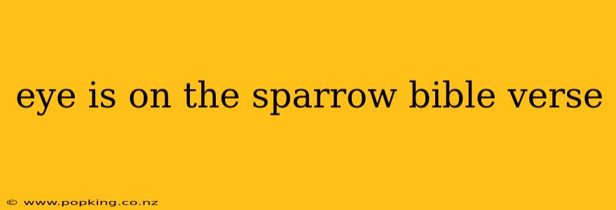 eye is on the sparrow bible verse