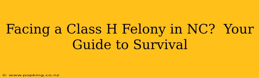 Facing a Class H Felony in NC?  Your Guide to Survival