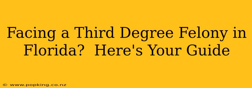 Facing a Third Degree Felony in Florida?  Here's Your Guide
