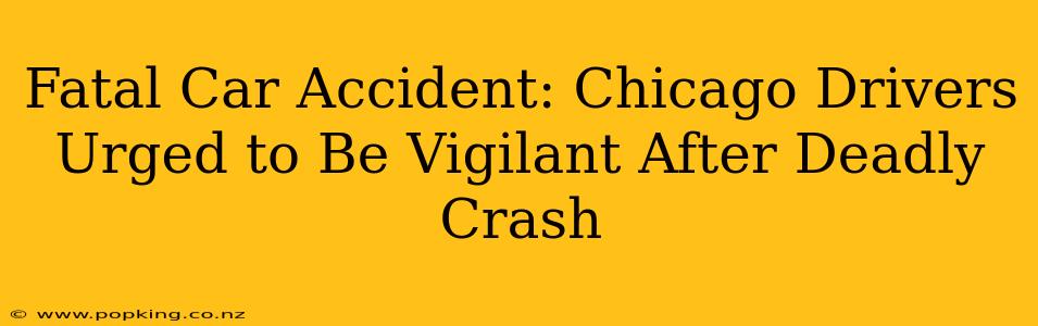 Fatal Car Accident: Chicago Drivers Urged to Be Vigilant After Deadly Crash