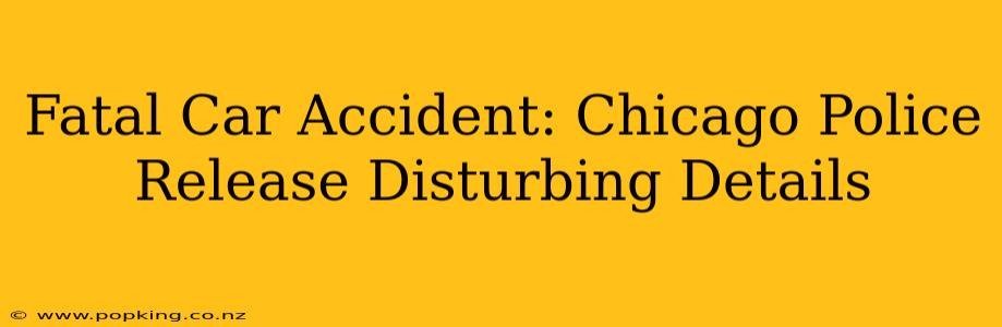 Fatal Car Accident: Chicago Police Release Disturbing Details