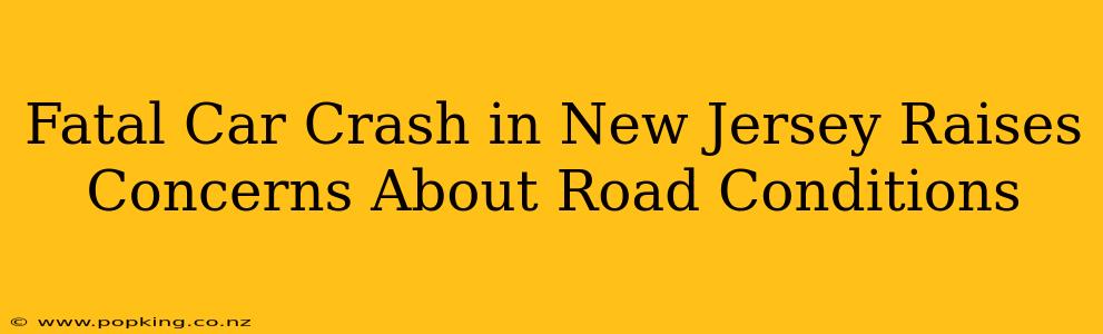Fatal Car Crash in New Jersey Raises Concerns About Road Conditions