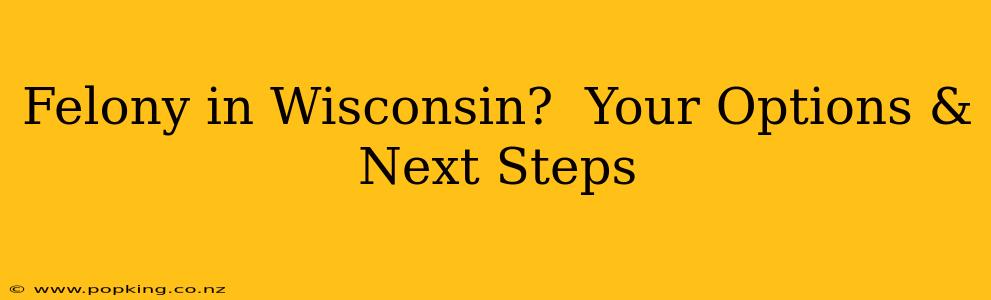 Felony in Wisconsin?  Your Options & Next Steps
