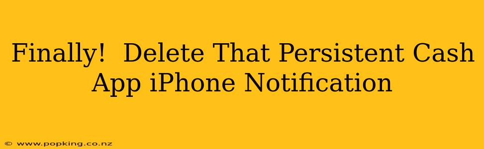 Finally!  Delete That Persistent Cash App iPhone Notification