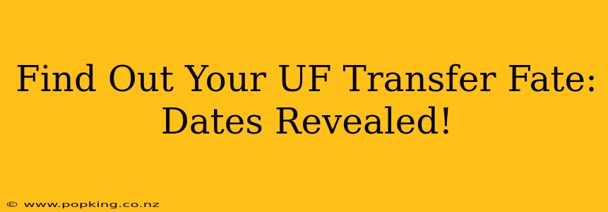 Find Out Your UF Transfer Fate: Dates Revealed!