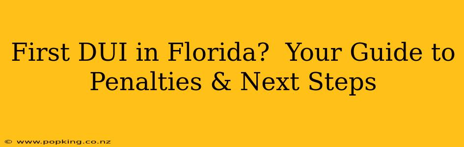 First DUI in Florida?  Your Guide to Penalties & Next Steps