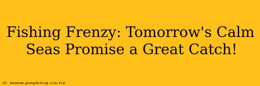 Fishing Frenzy: Tomorrow's Calm Seas Promise a Great Catch!