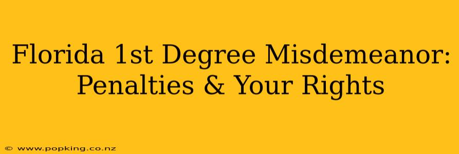 Florida 1st Degree Misdemeanor: Penalties & Your Rights
