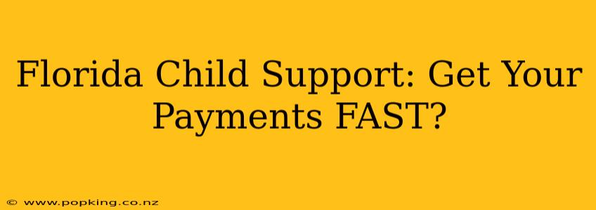 Florida Child Support: Get Your Payments FAST?