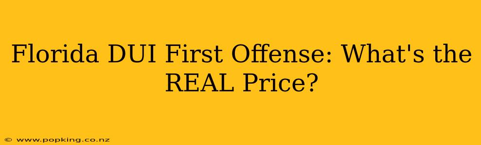 Florida DUI First Offense: What's the REAL Price?
