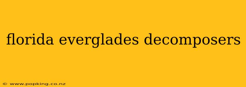 florida everglades decomposers