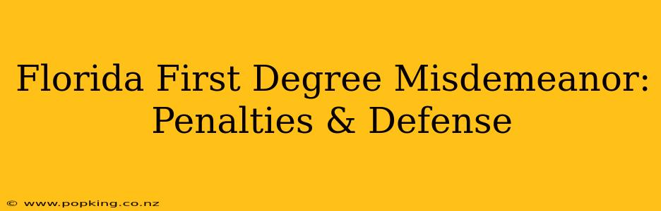 Florida First Degree Misdemeanor: Penalties & Defense