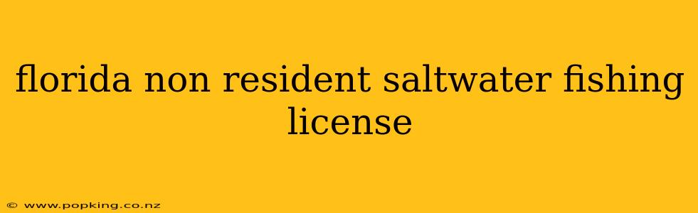 florida non resident saltwater fishing license