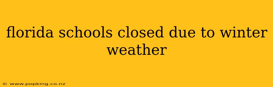 florida schools closed due to winter weather