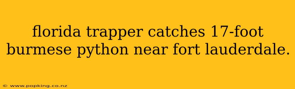 florida trapper catches 17-foot burmese python near fort lauderdale.