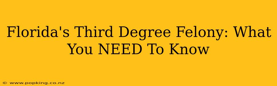 Florida's Third Degree Felony: What You NEED To Know