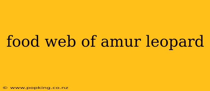 food web of amur leopard
