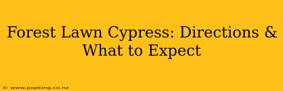 Forest Lawn Cypress: Directions & What to Expect