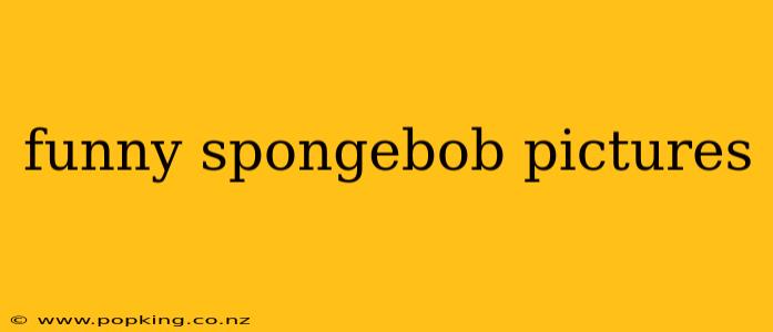 funny spongebob pictures