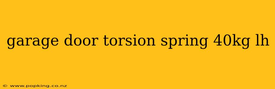 garage door torsion spring 40kg lh